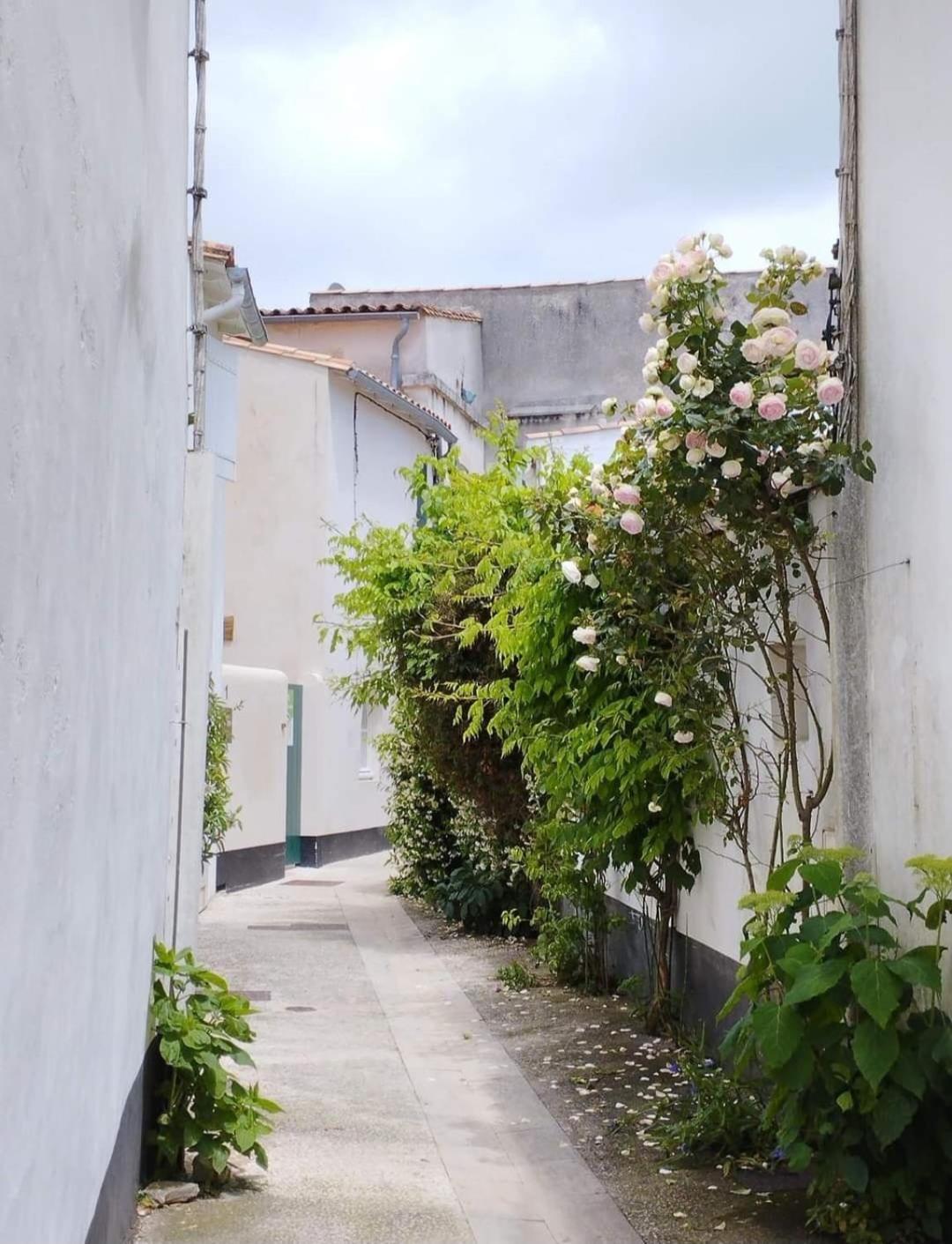 La Suite En Re Le Bois-Plage-en-Ré Εξωτερικό φωτογραφία